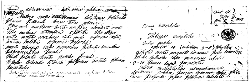 Robert Brown's handwriting