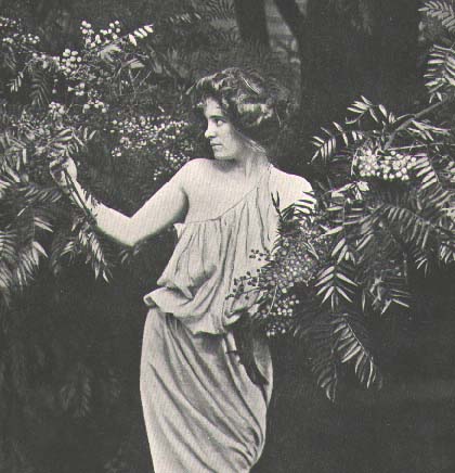 photo: Acacia elata 1921
