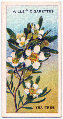 cigarette card front