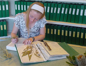 photo: using the herbarium