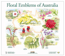 Floral Emblem Poster