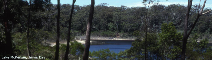 Lake McKenzie