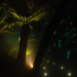 AfterDark Rainforest Gully lighting
