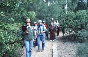 Free guided walk image
