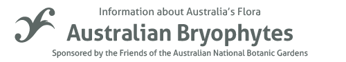 Australian Bryophytes - information about Australia's flora
