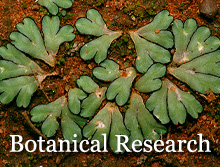 Botanical Research