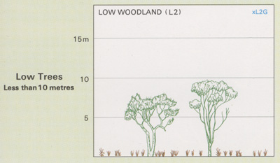 Low Woodlands structure